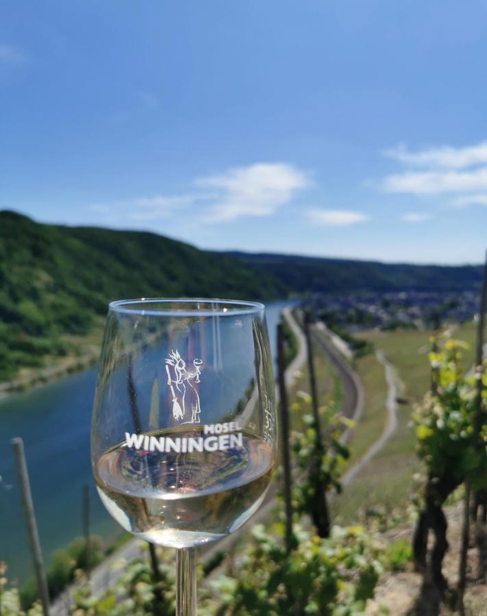 Auszeit Rhein-Mosel Apartment Waldesch ภายนอก รูปภาพ