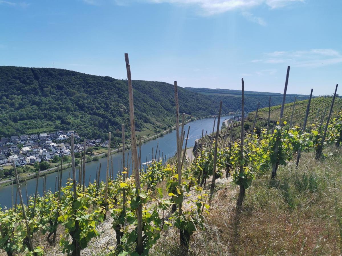 Auszeit Rhein-Mosel Apartment Waldesch ภายนอก รูปภาพ