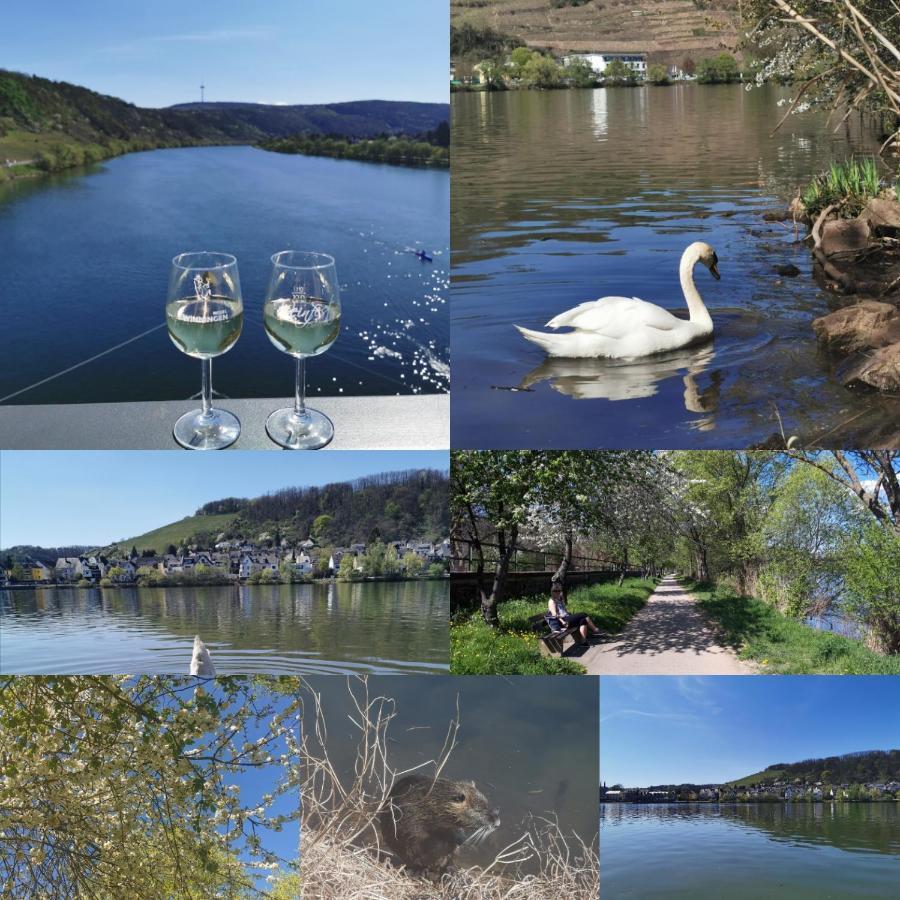 Auszeit Rhein-Mosel Apartment Waldesch ภายนอก รูปภาพ