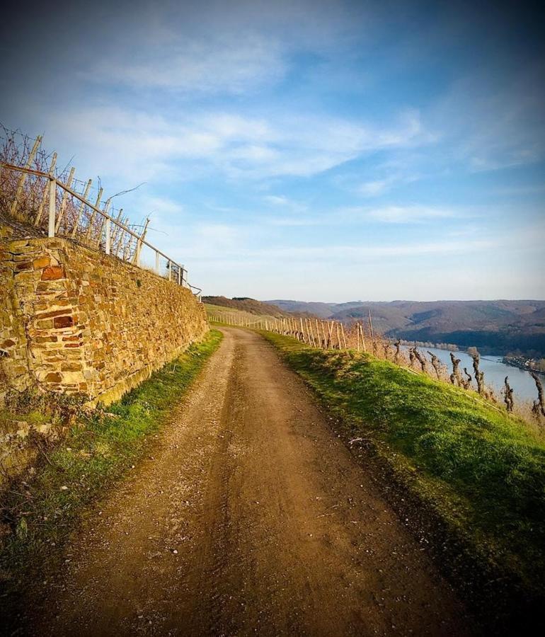 Auszeit Rhein-Mosel Apartment Waldesch ภายนอก รูปภาพ